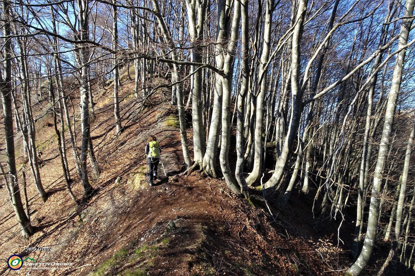 35 In cresta di vetta ornata con con alti faggi per Cima di Muschiada .JPG